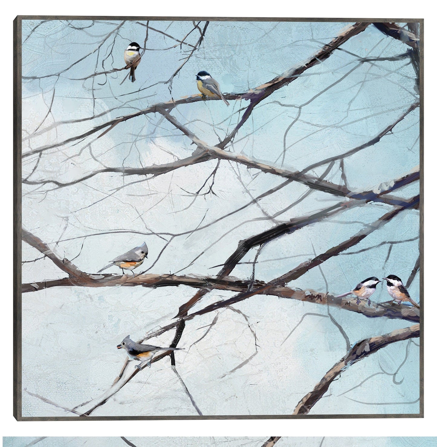 Observación de aves - Studio Arts
