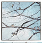 Observación de aves - Studio Arts
