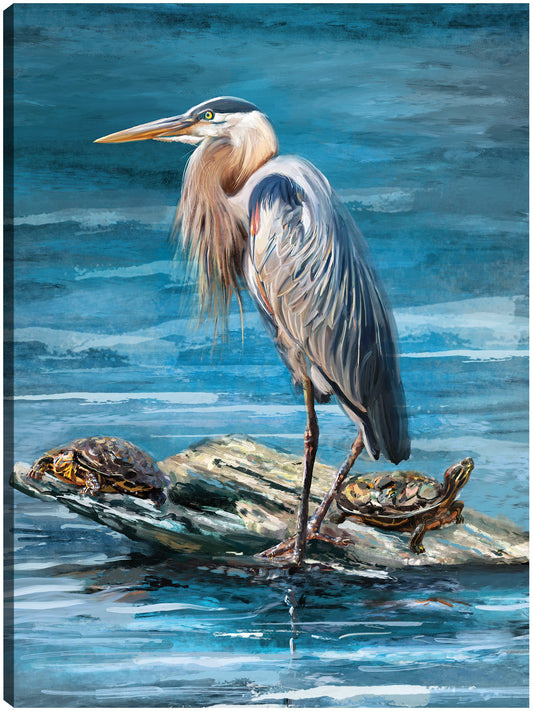 Rey de las garzas - Studio Arts