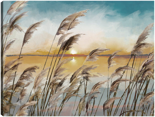 Luz de cañas de la mañana - Studio Arts