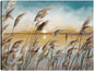 Luz de cañas de la mañana - Studio Arts