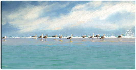 Reunión de gaviotas - Studio Arts