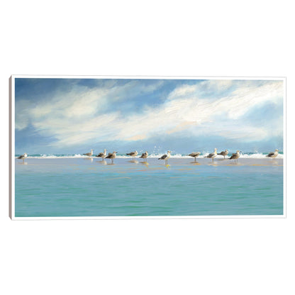 Reunión de gaviotas - Studio Arts