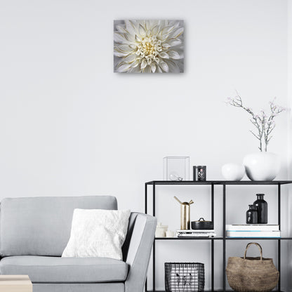 Oro besado por el sol - Studio Arts