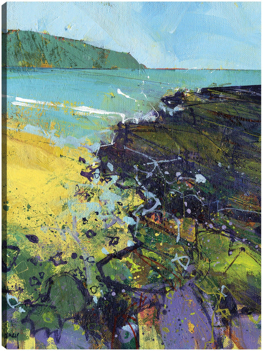 Bahía Clarach - Paul Bailey