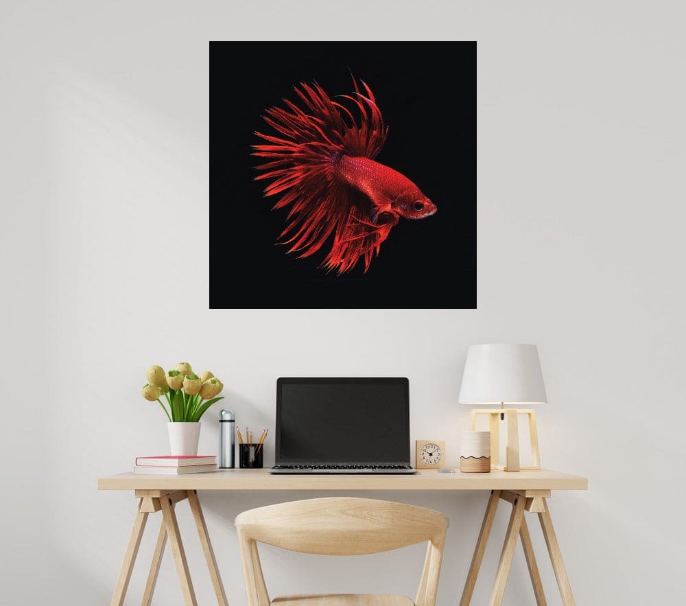 Pescado beta rojo - Incado