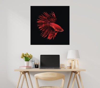 Pescado beta rojo - Incado