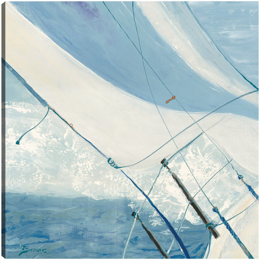 Aerosol de proa - John Burrows