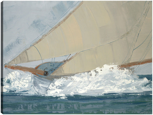 Desafiador - John Burrows
