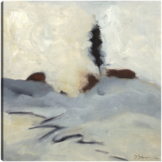 Danza de invierno II - Bradford Brenner