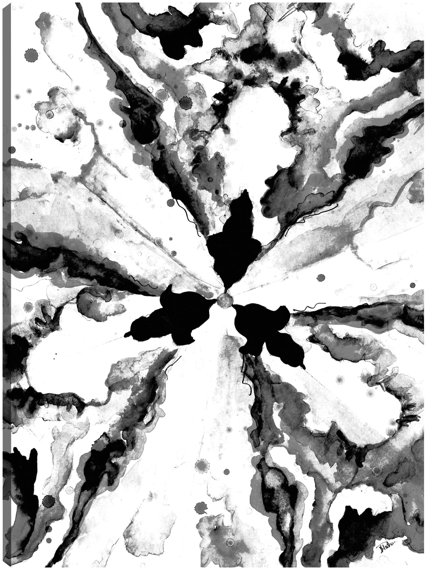Constelación monocromática - Patricia Pinto