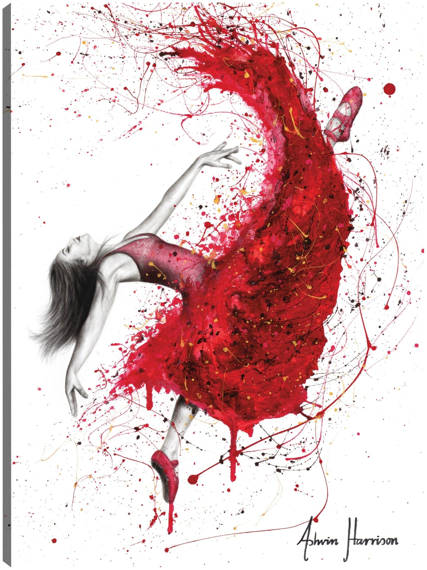Bailarina de la Pasión Contemporánea - Ashvin Harrison