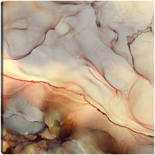 Tonos del desierto - Tara Reed