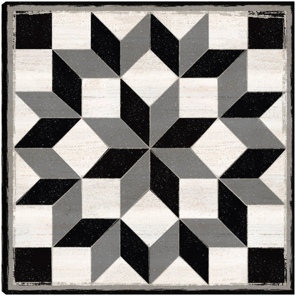 Bloque de edredón blanco y negro I - Tara Reed