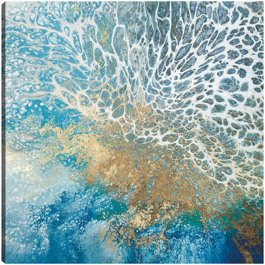 Fortuna - Shaylen Broughton