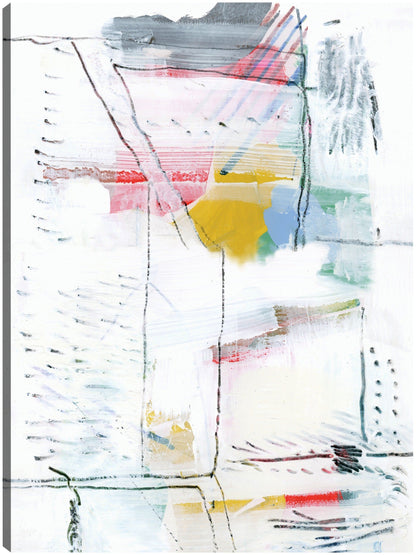 Experimental I - cartissi