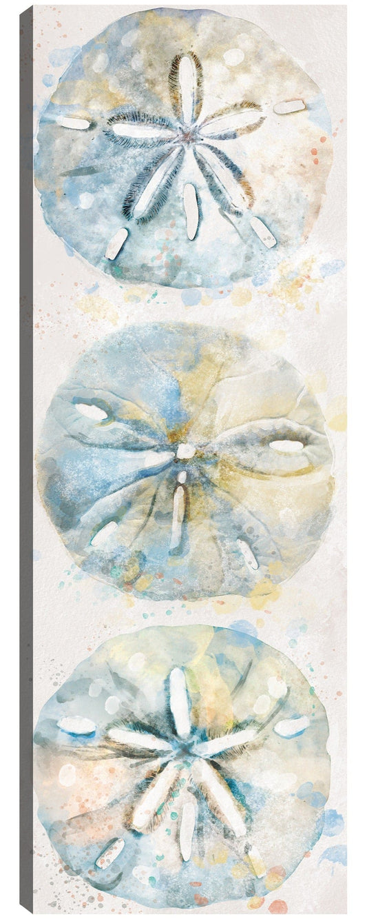 Panel de concha II - Studio Arts