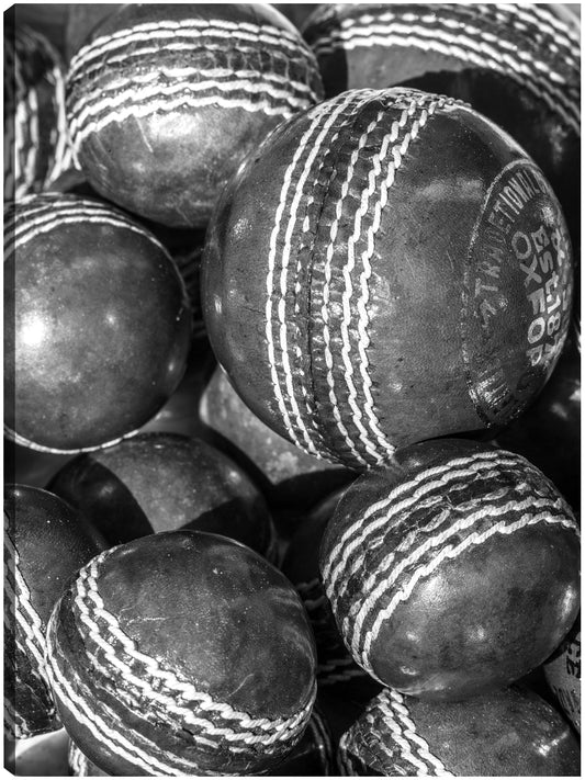 Cricket deportivo vintage - Assaf Frank