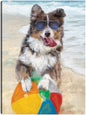 Chicos de la playa II - Studio Arts