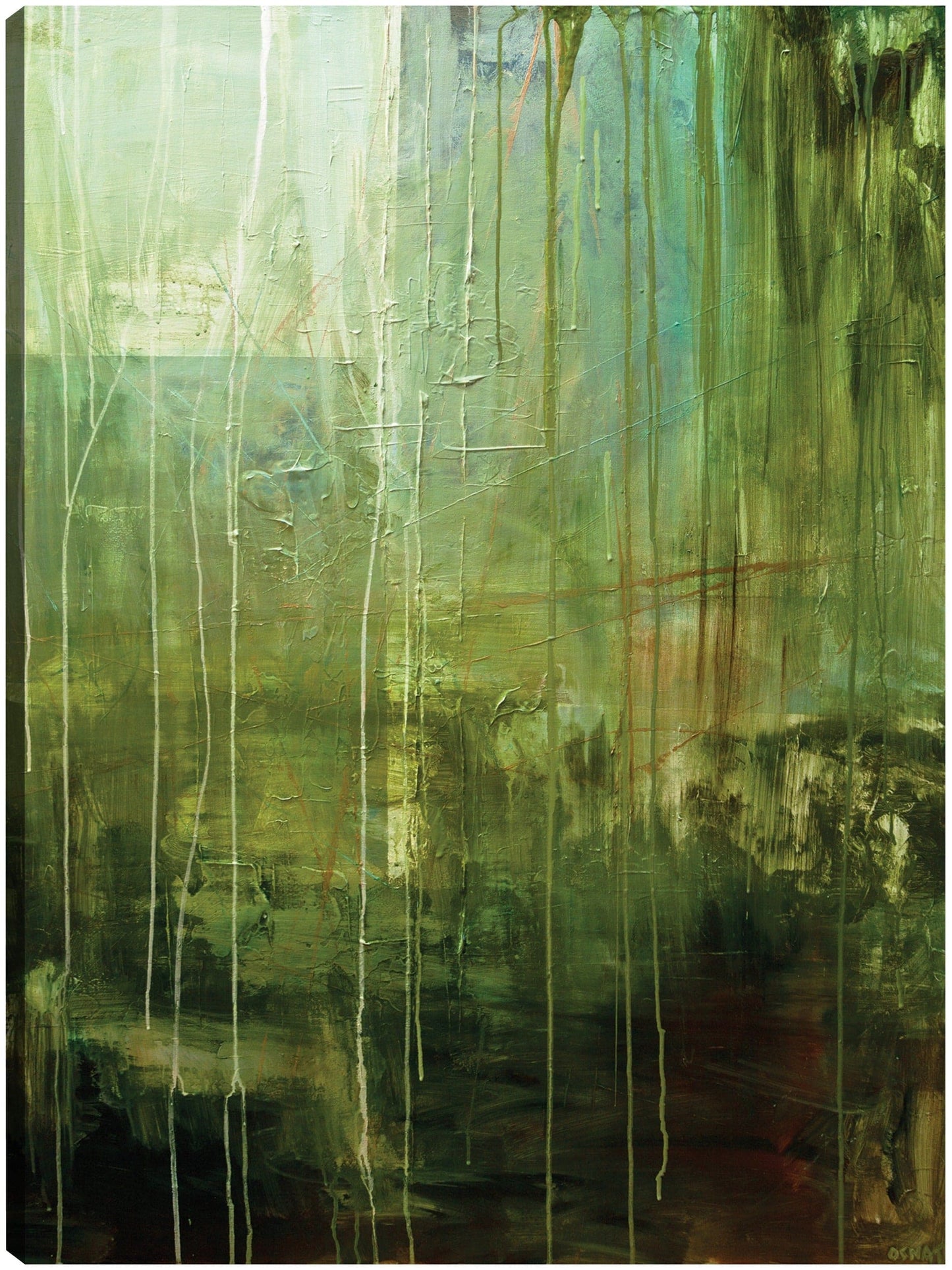 Amazonas - Osnat Tzadok