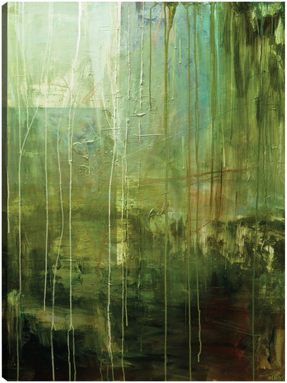 Amazonas - Osnat Tzadok