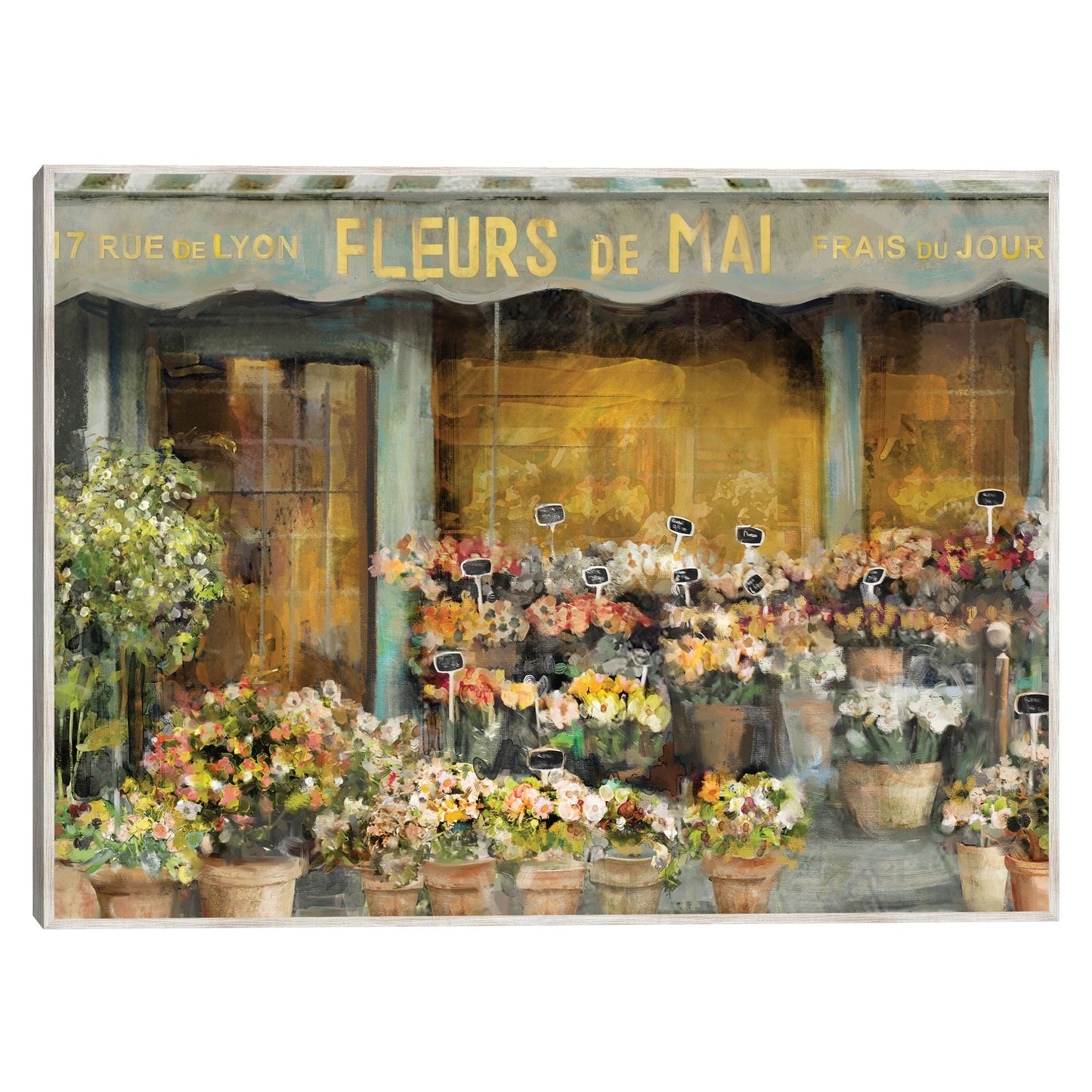 Flores de mayo - Studio Arts