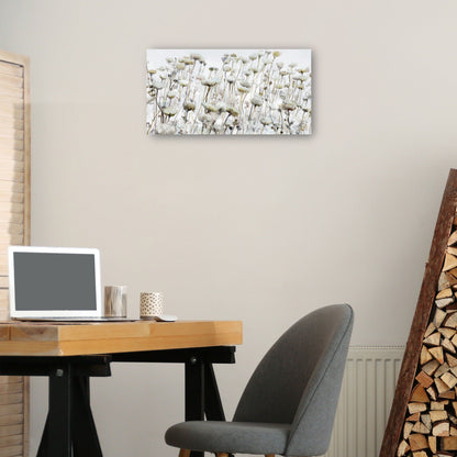 Pradera de marissa - Studio Arts