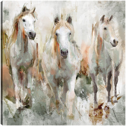 Trifecta - Studio Arts