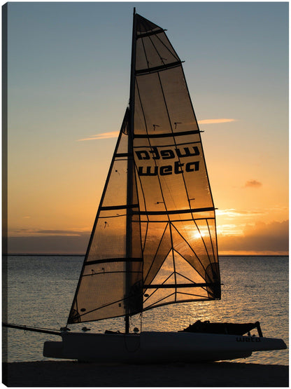 Barco de playa Polinesia - Panoramic Images