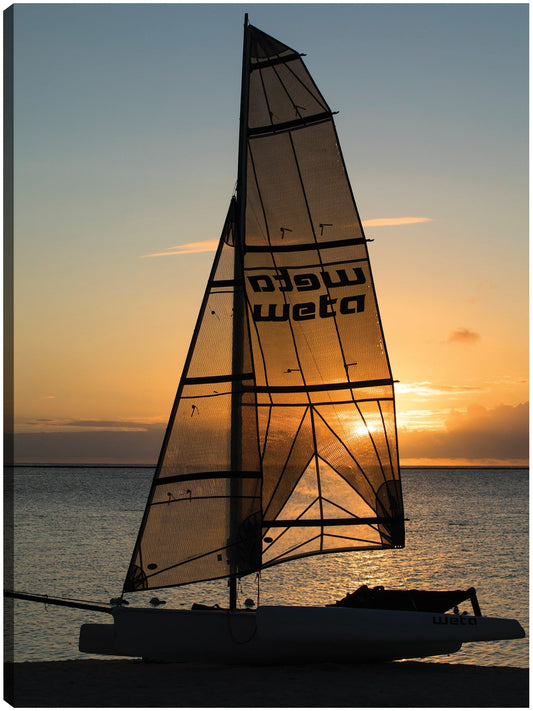 Barco de playa Polinesia - Panoramic Images