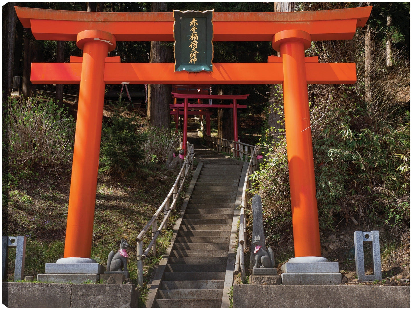 Puertas japonesas - Panoramic Images