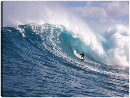 Surfea en Maui - Panoramic Images