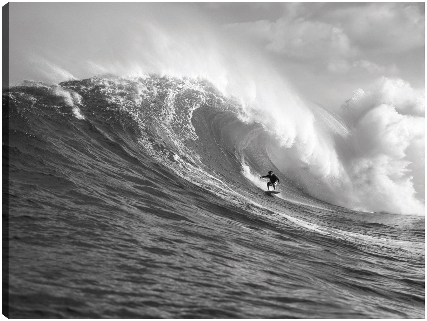 Maui Sea Surfer - Panoramic Images