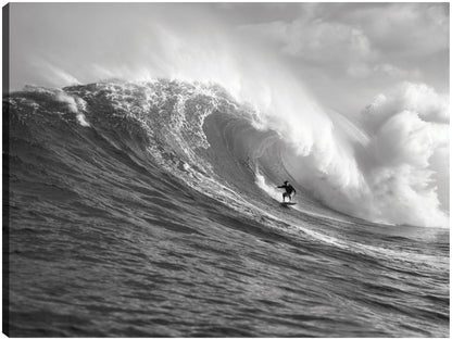 Maui Sea Surfer - Panoramic Images