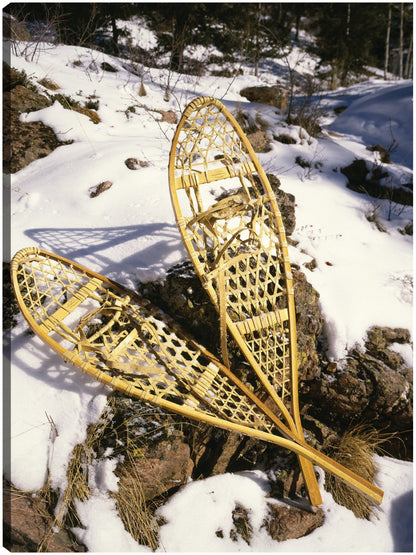 Raquetas de nieve de invierno - Panoramic Images