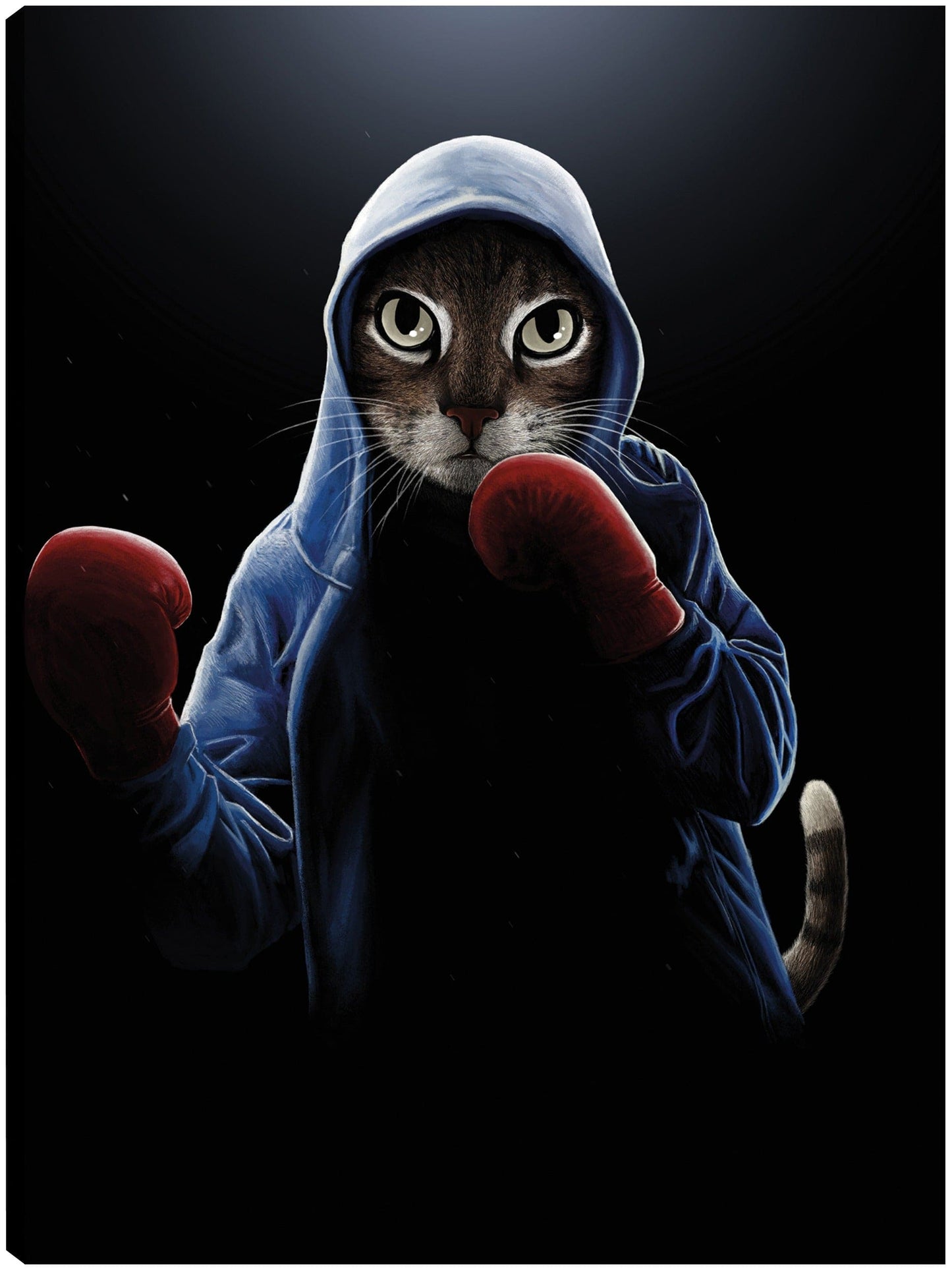 Gato fresco del boxeo - Tummeow