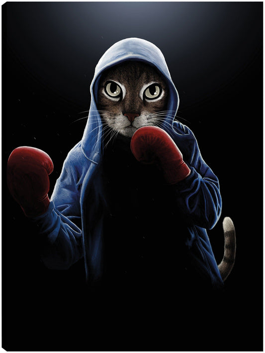 Gato fresco del boxeo - Tummeow