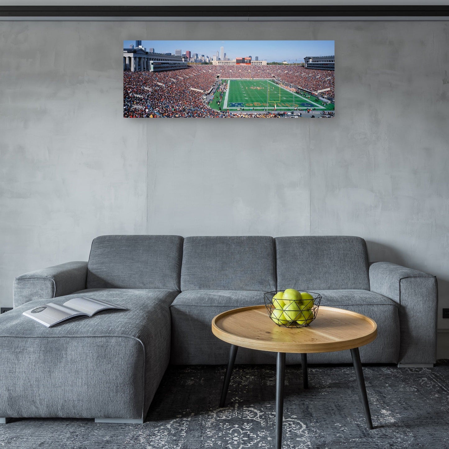 Campo de fútbol Chicago - Panoramic Images