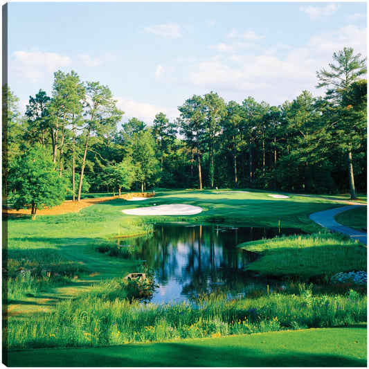 Campo de Golf Pine Needles - Panoramic Images