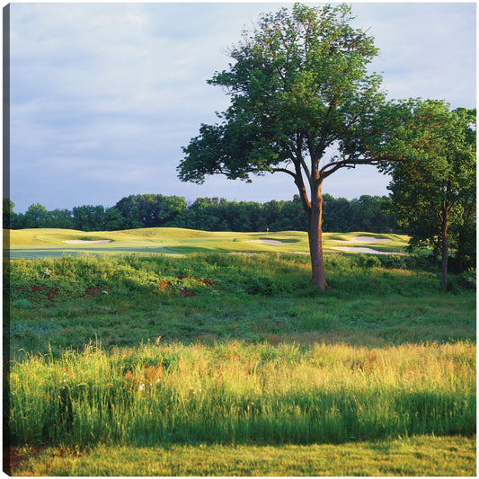 Heron Glen Golf Club - Panoramic Images