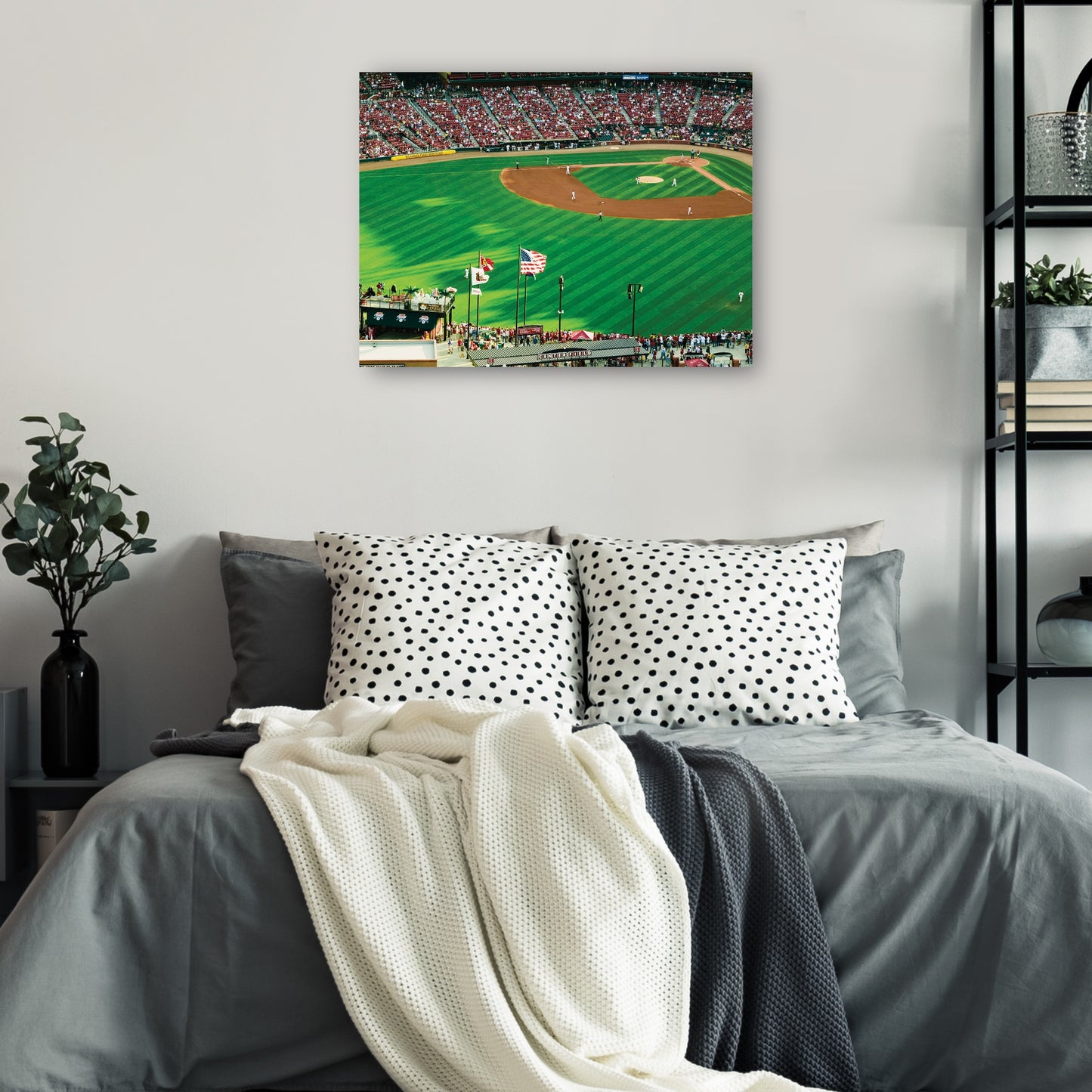 Jugar a la pelota Saint Louis - Panoramic Images