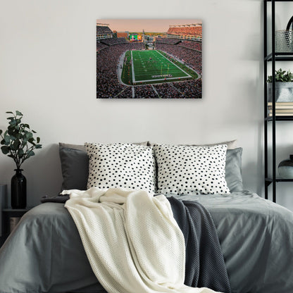Estadio de fútbol americano de los Patriots - Panoramic Images