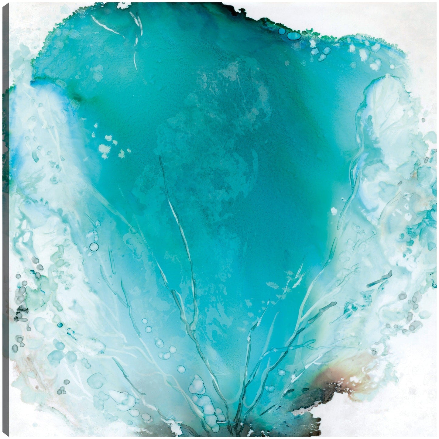 Abanico de Mar II - Carol Robinson