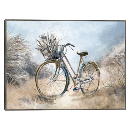 Ruedas de playa - Studio Arts