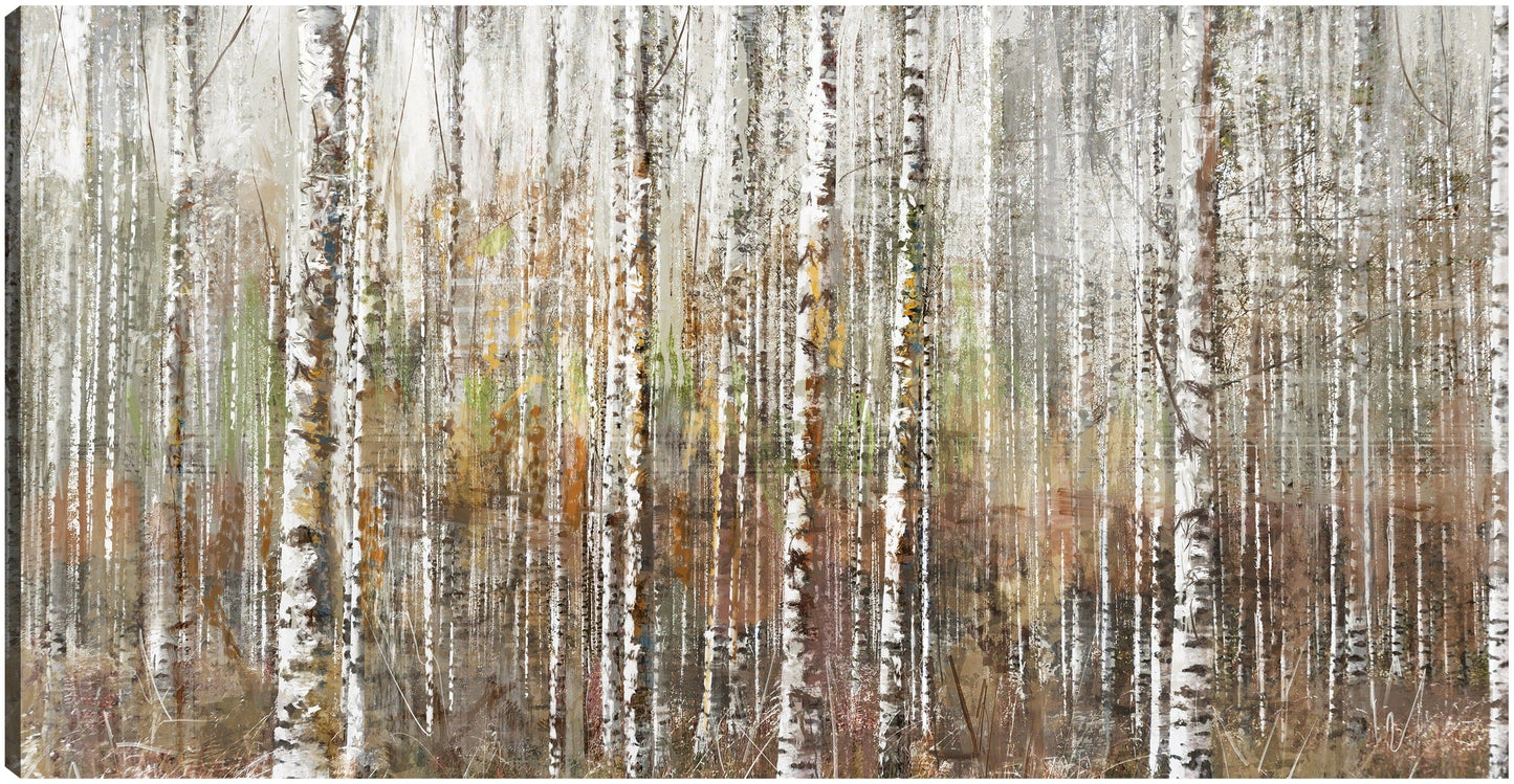Bosque de abedules - Studio Arts