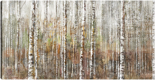 Bosque de abedules - Studio Arts