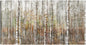 Bosque de abedules - Studio Arts