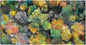 Caja de pinturas - Studio Arts