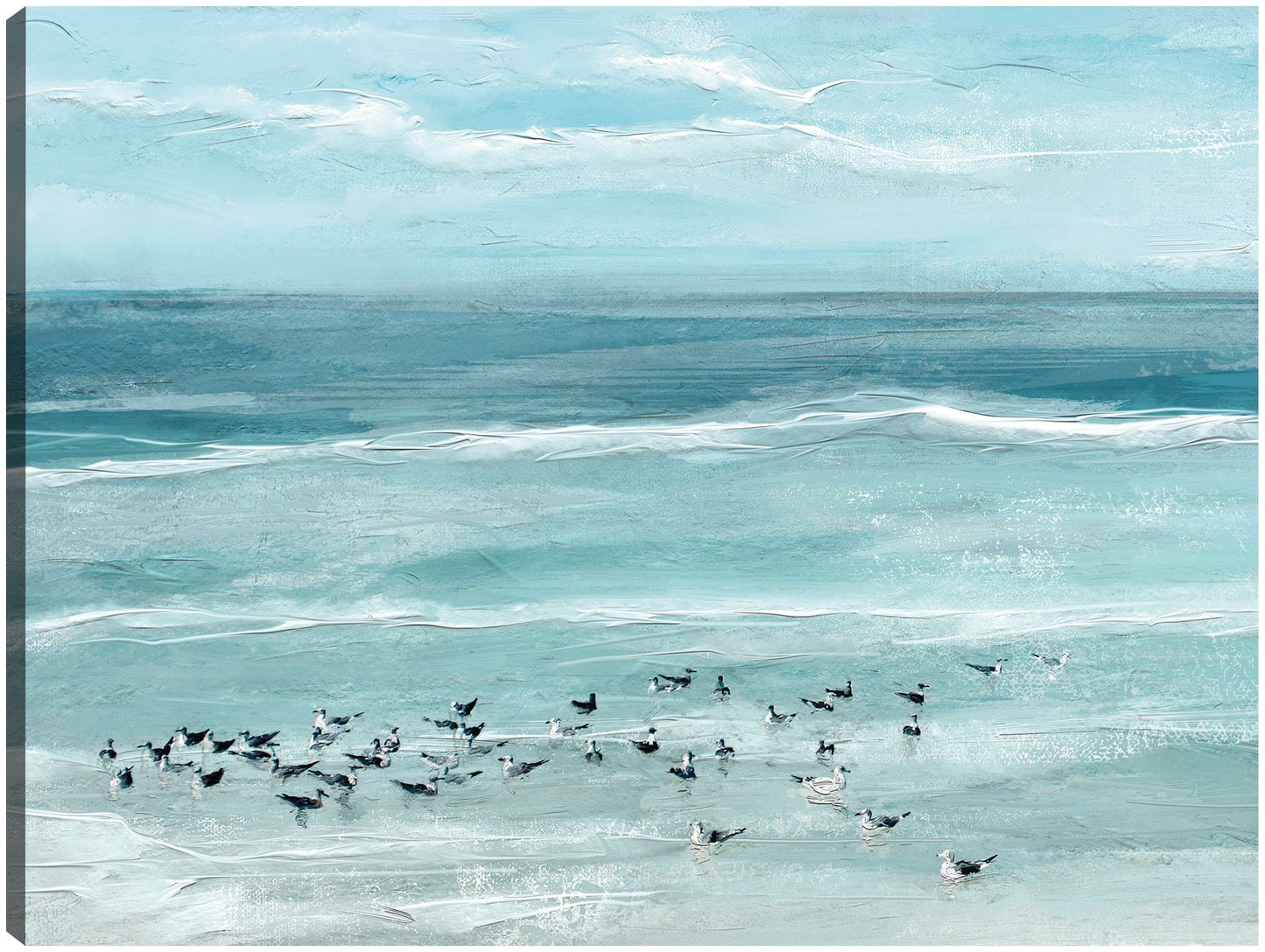 Aves marinas - Studio Arts
