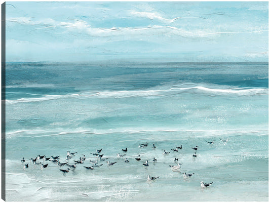 Aves marinas - Studio Arts
